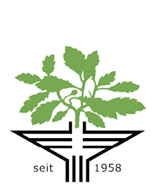 39. Stuttgarter Filmwinter – Festival for Expanded Media