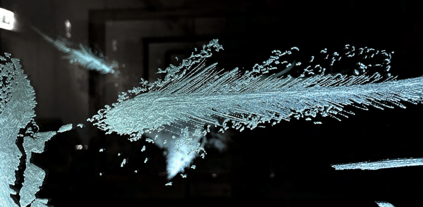 Peter Moosgaard, Angel (fine dust) 39. Stuttgarter Filmwinter – Festival for Expanded Media